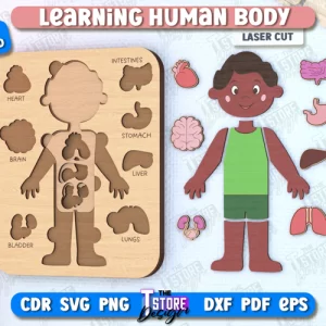 Rompecabezas cuerpo humano