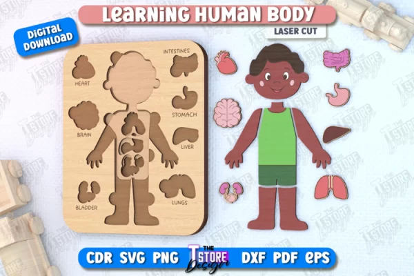 Rompecabezas cuerpo humano