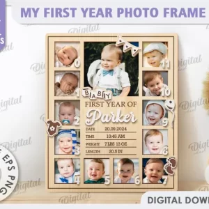 Mi primer año