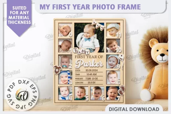 Mi primer año