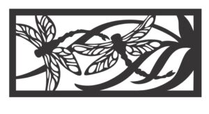 Descarga cuadro de pared libélulas